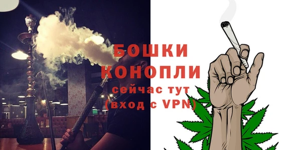 шишки Бронницы