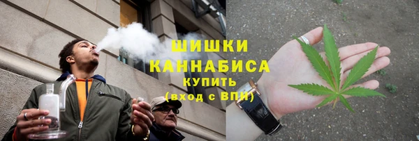 дурь Богданович