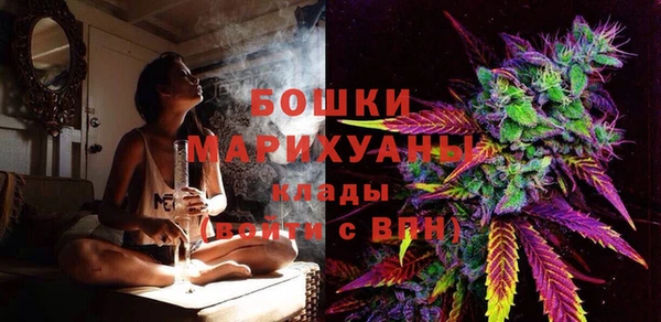 дурь Богданович