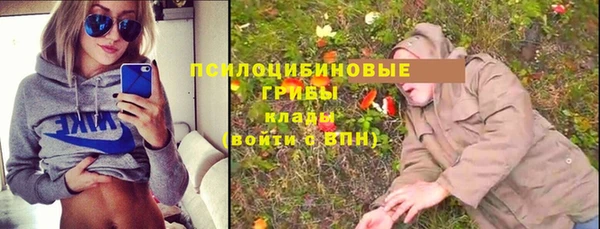 дмт Бугульма