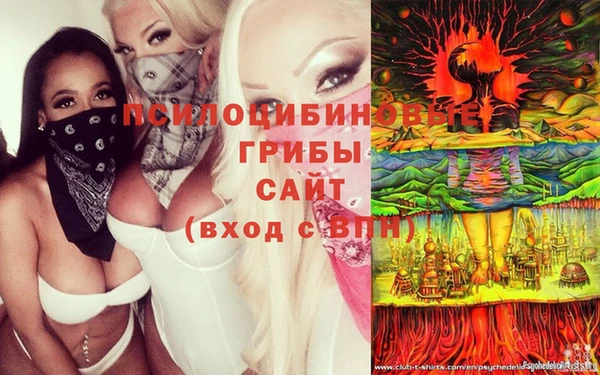 дурь Богданович