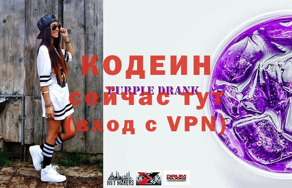 ГАЛЛЮЦИНОГЕННЫЕ ГРИБЫ Бородино