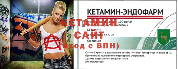 ГАЛЛЮЦИНОГЕННЫЕ ГРИБЫ Бородино